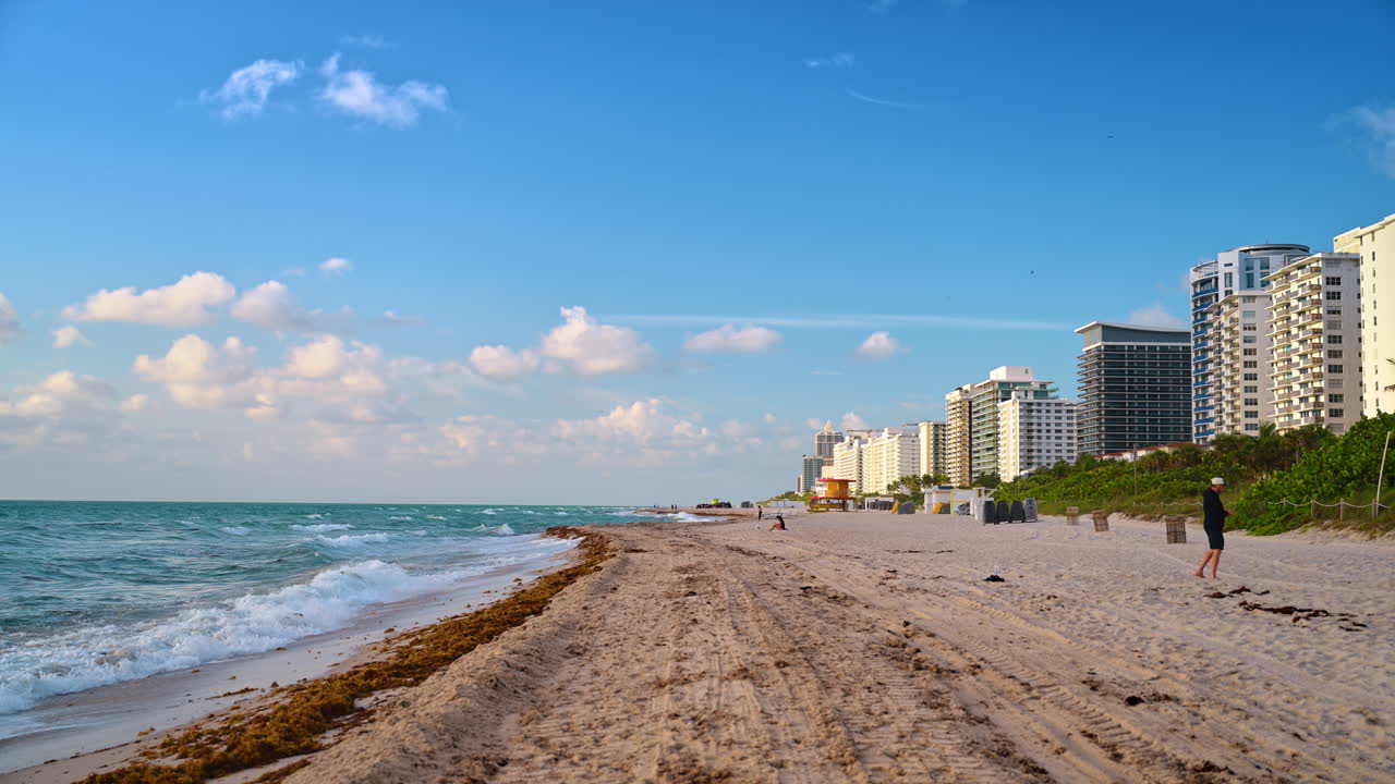 Miami, USA, 9 aprile 2026: Litorale sabbioso di Miami Beach con hotel grattacielo. Vista grandangolare della costa dell'Oceano Atlantico, spiaggia di sabbia con alghe e moderni condomini in Florida.