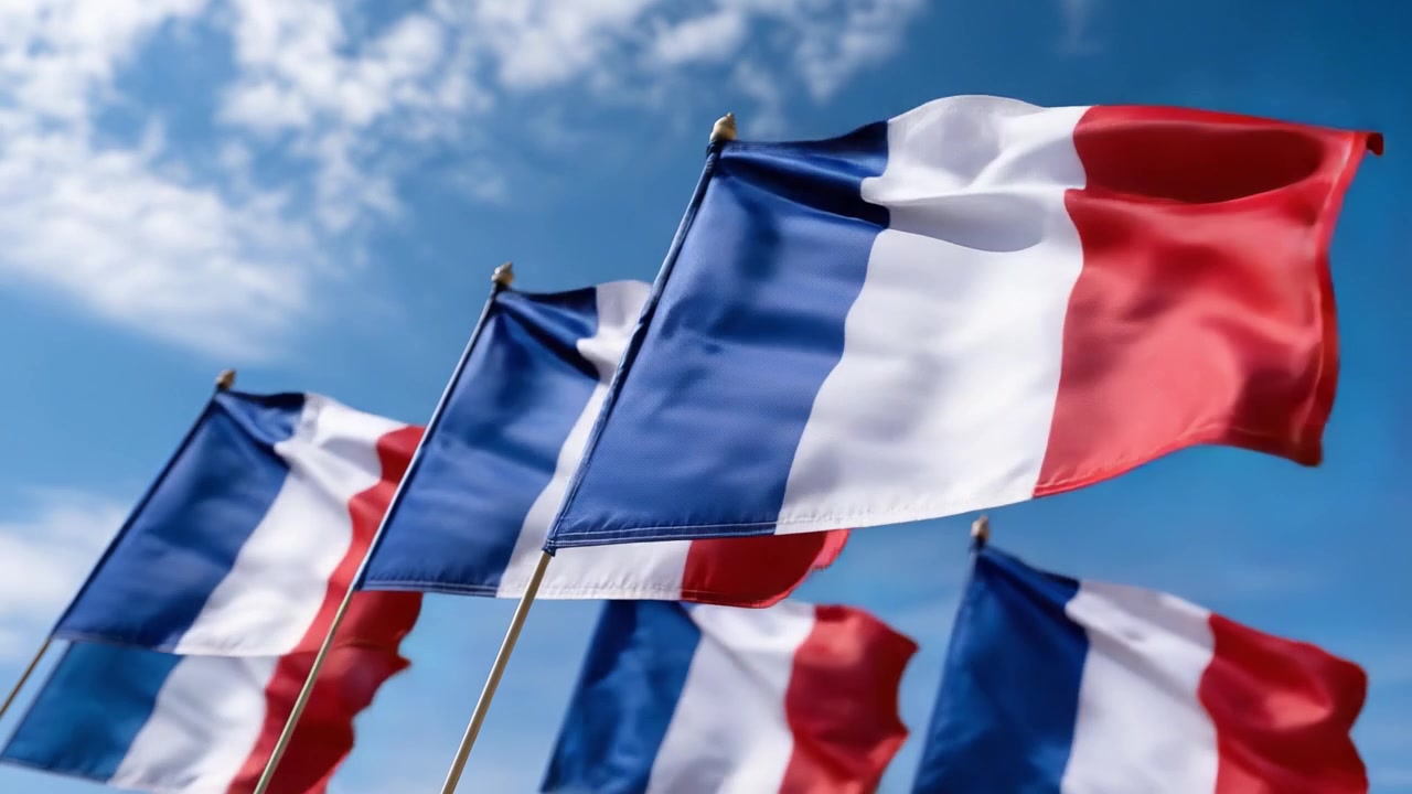 Una vivace esposizione di bandiere francesi che sventolano con orgoglio sotto un cielo azzurro brillante in una scena accattivante che celebra l'identità e il patrimonio nazionale.