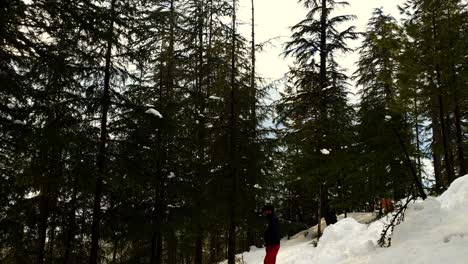 Snow-White-in-kashmir-covered-hills-mountains-plants-valley