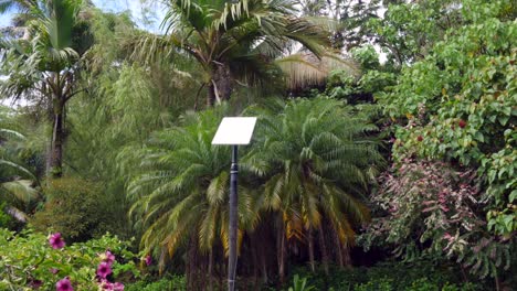 vista de la antena receptora de starlink en una remota ubicación tropical en hawai