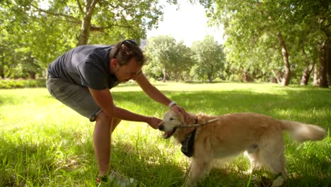 hombre jugando con perro labrador y palo en el parque