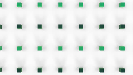 animación de cubos tridimensionales de color verde que se mueven contra un fondo blanco