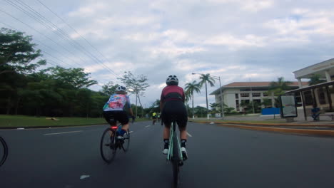 two cyclists riding on a long stretch of road and past palm trees