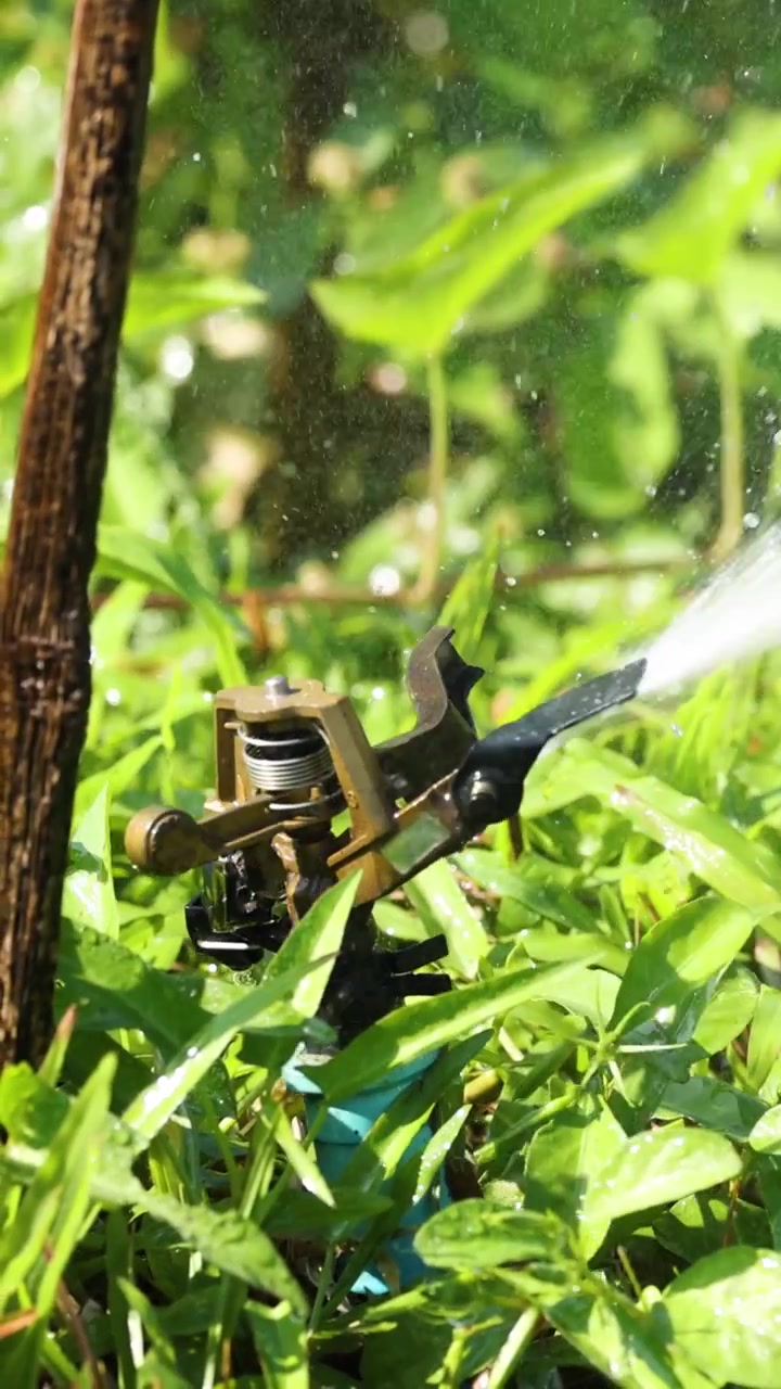 Sprinkler system hydrating lush vegetation consistently