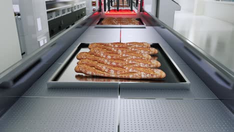 producción de pan fresco en una línea de producción automatizada con cinta transportadora