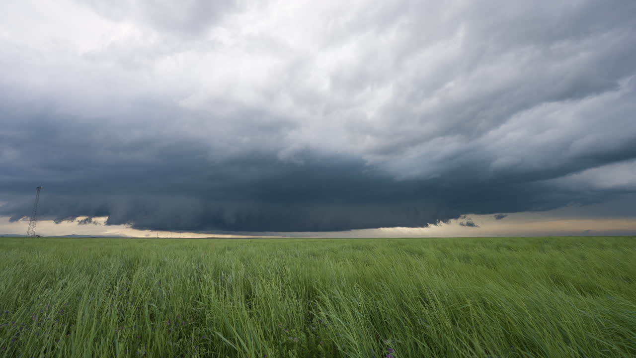 Stormy Skies And Gently Swaying Tall Grass Scene Of Beauty