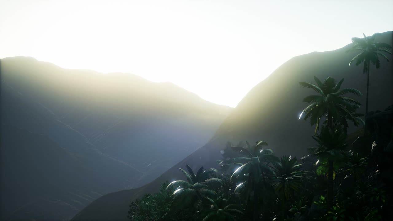 los rayos del atardecer a través de las palmeras