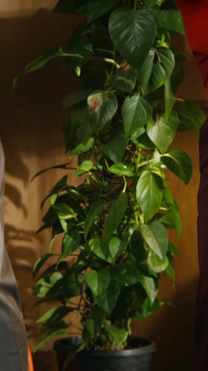 Person wearing pants and shoes in a room with plants and a vintage tv
