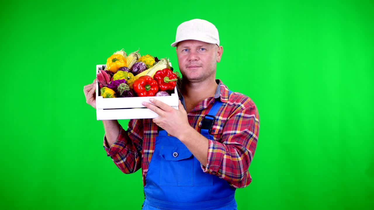 Agricoltore sorridente con camicia a quadri e cappello che tiene una scatola con diverse verdure fresche, su Chromakey, sfondo verde. Concetto di conteggio del raccolto, raccolta di verdure