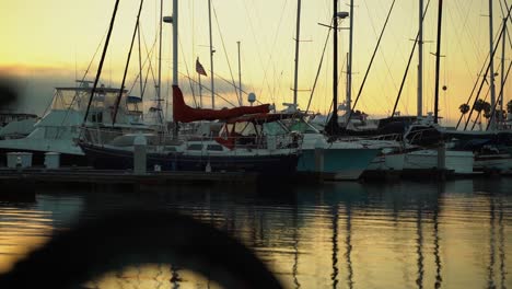 sailboats in harbor backlit by golden sunset