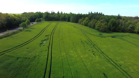 Vista-Aérea-Del-Campo-De-Cultivo-Que-Sopla-En-El-Viento-Con-Bosque-En-El-Fondo-En-Una-Zona-Rural