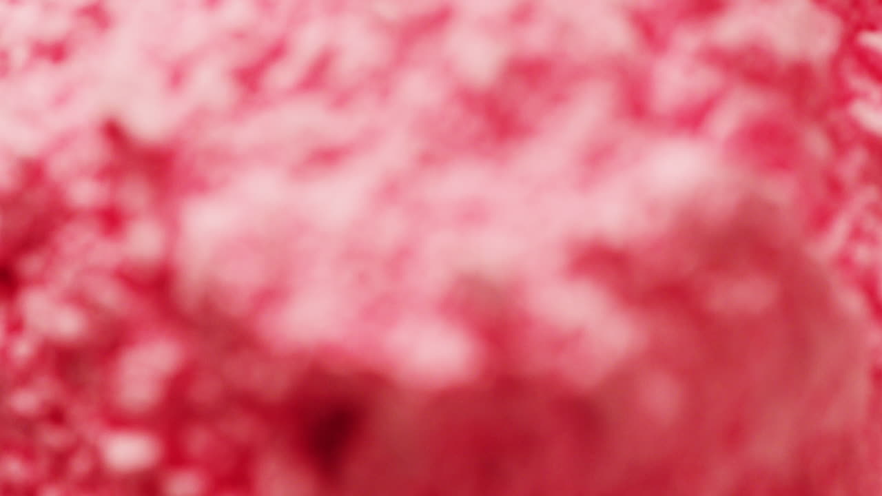 Video in primo piano di polvere rosa con spazio per il testo