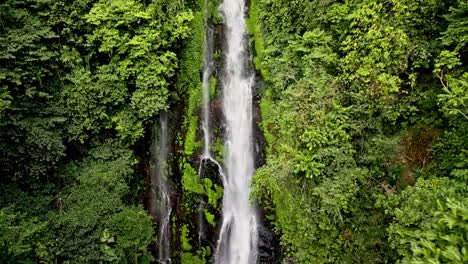 una impresionante cascada rodeada de exuberante vegetación en un bosque tropical