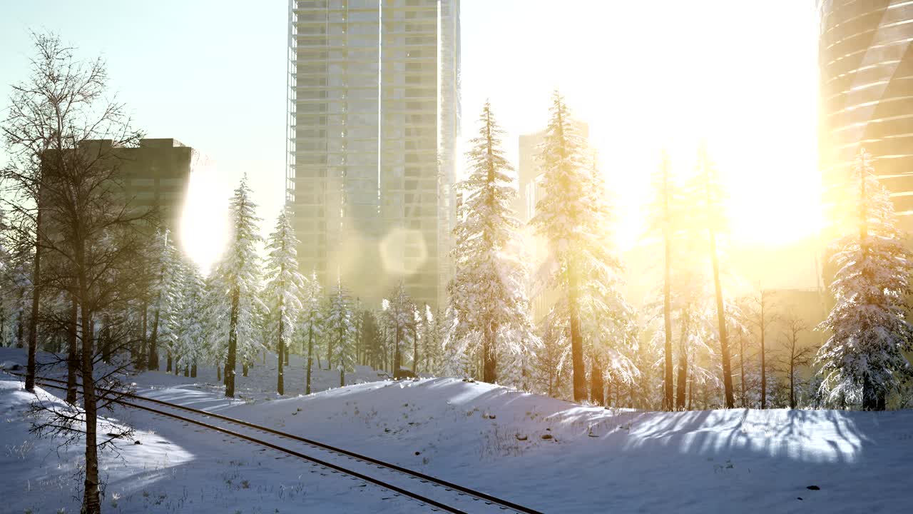 눈 속에 있는 도시와 숲