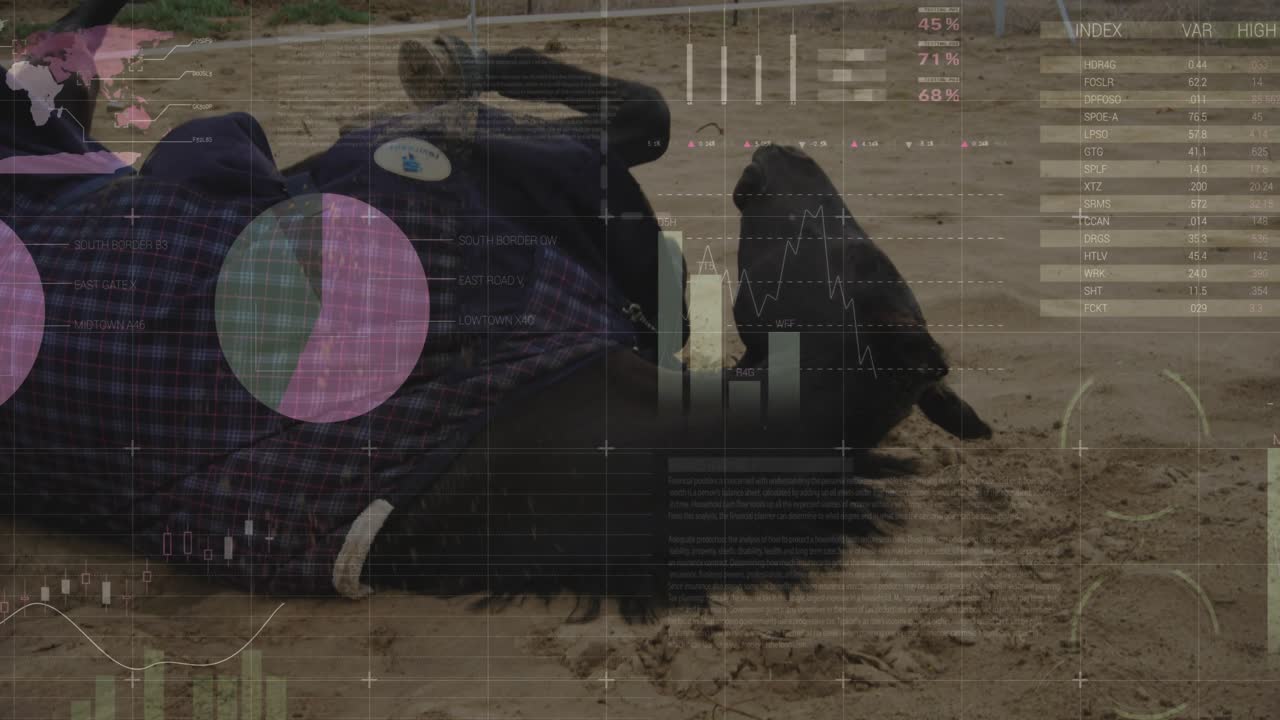 Upon weight shift horse rolling and kicking with digital overlays tracking movement before standing