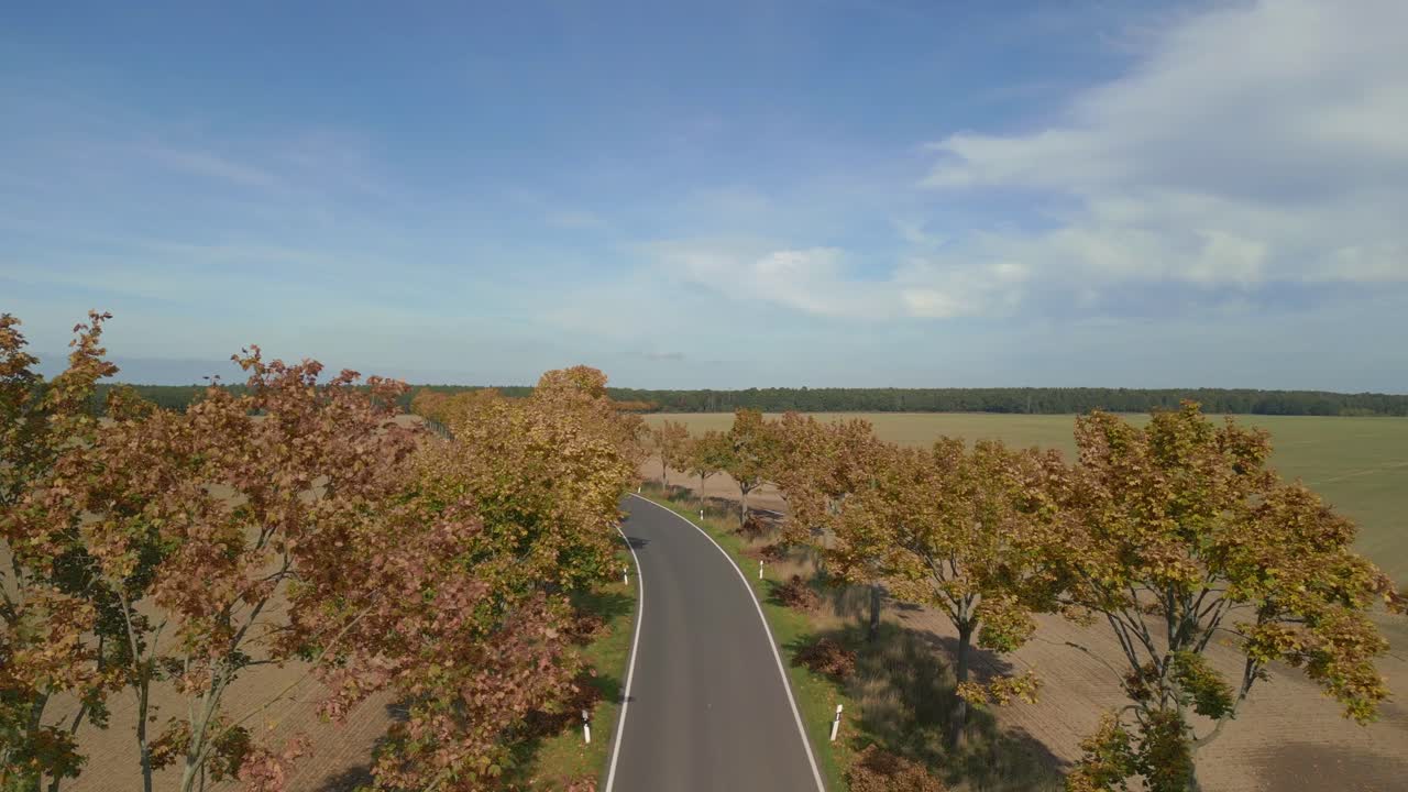 callejón vacío de la calle del pueblo entre campos