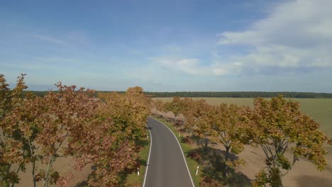 empty village street alley between fields