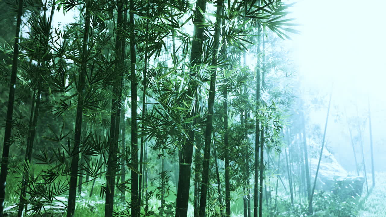 selvas tropicales del sudeste asiático