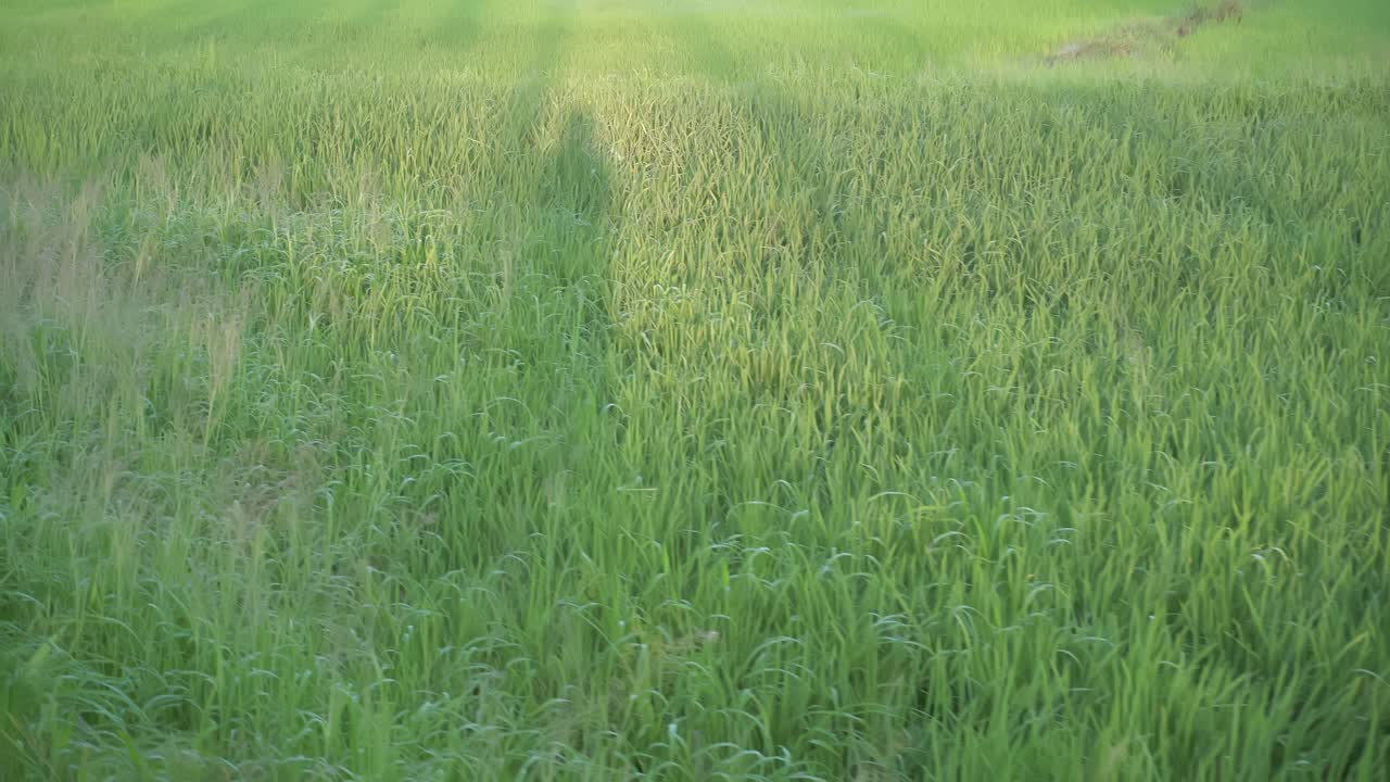 사람의 그림자가  ⁇ 에서  ⁇ 고 있습니다.