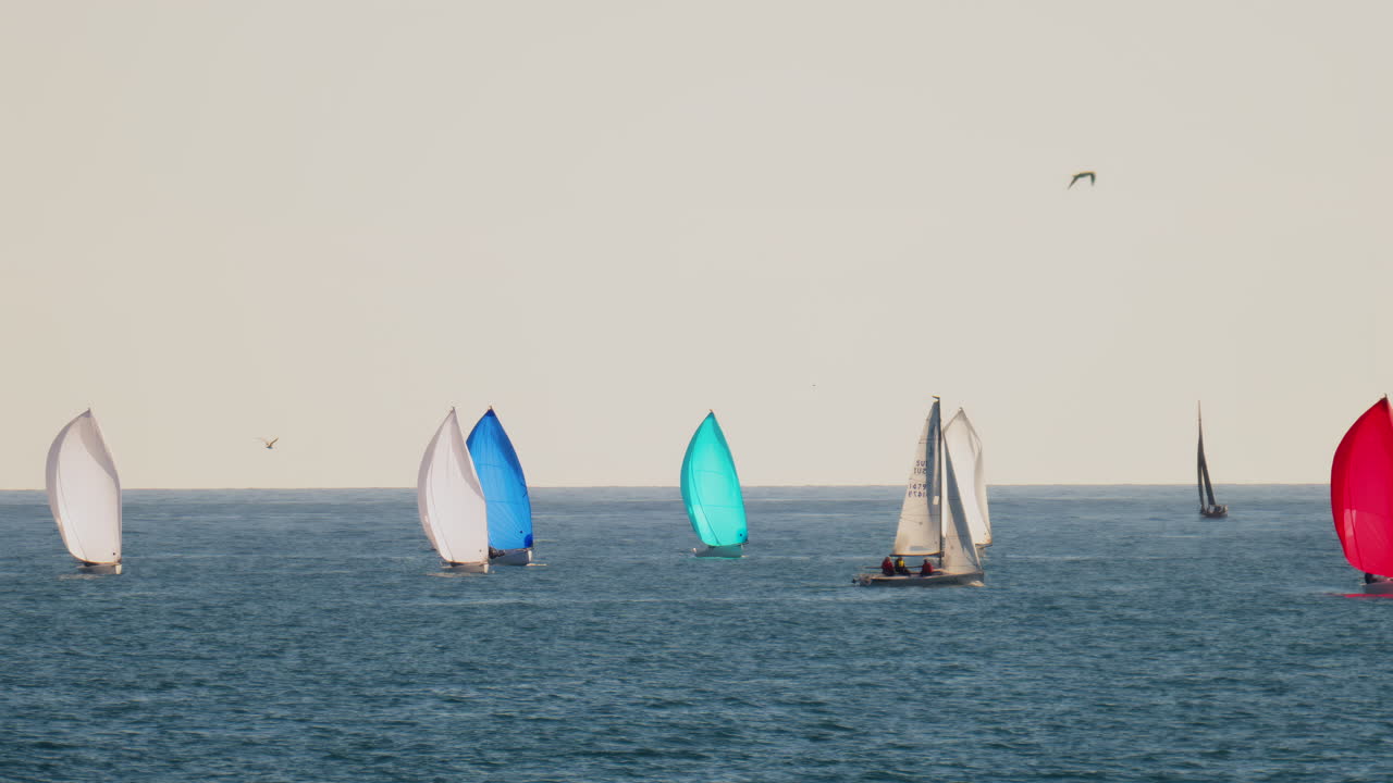 Nice, France - February 10, 2025: Multiple sailboats moving on the sea