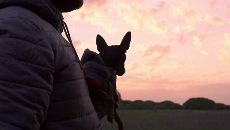 Besitzer-Hält-Seinen-Pinscher-Hund-Im-Park-Mit-Einem-Wunderschönen-Orangefarbenen-Sonnenuntergang-Hinter-Sich