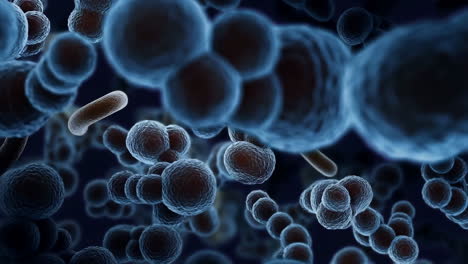 microscopic view of cells and bacteria