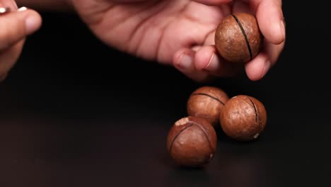Hands cracking macadamia nuts with a tool