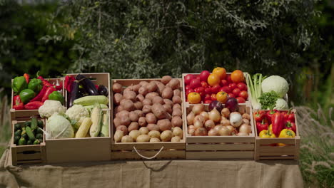 a stall with various vegetables at a farmers' market. front view