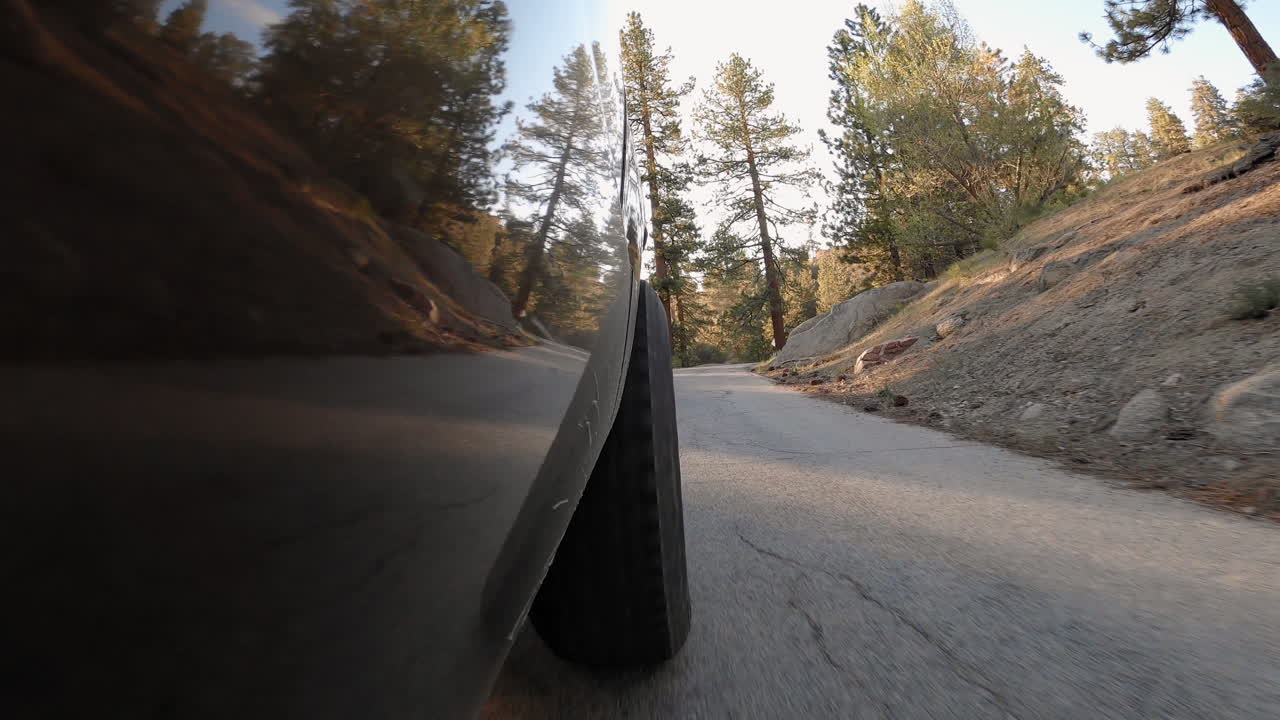 아름다운 숲 속을 달리다