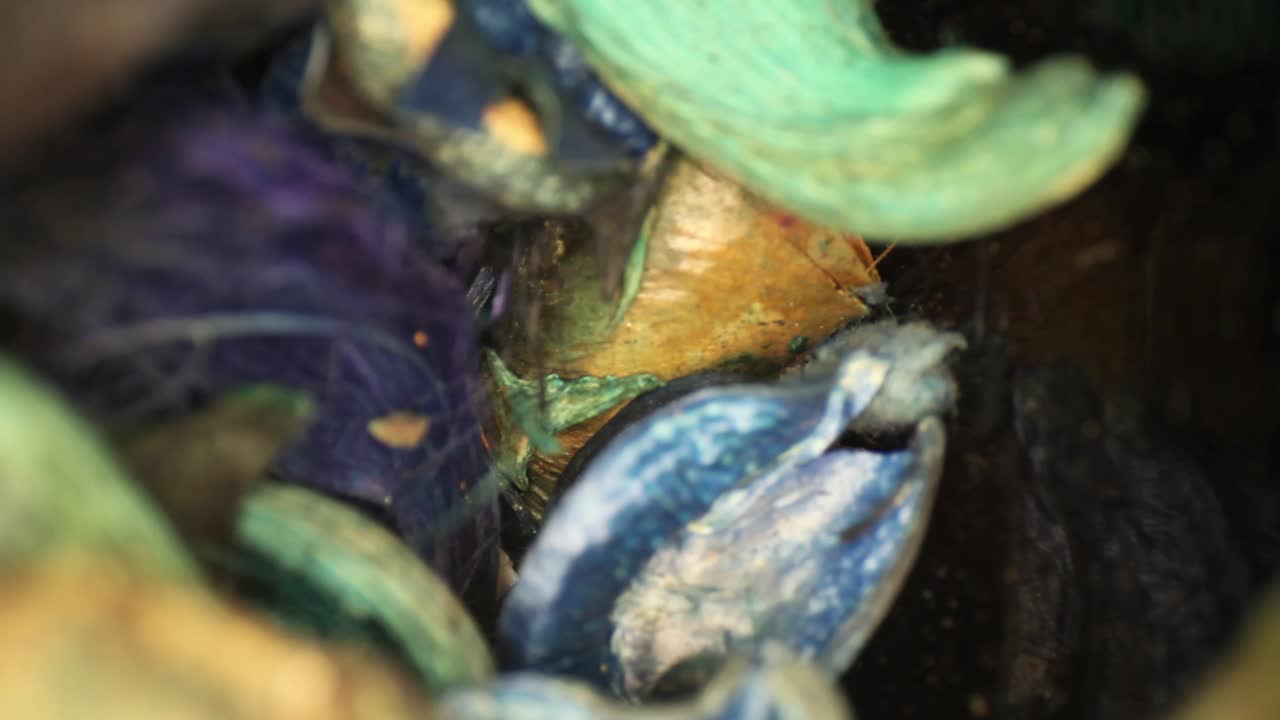 색색의 포푸리 조각이 렌즈를 지나 계단식으로 흐르면서 천천히 꽃병 밖으로 나옵니다.