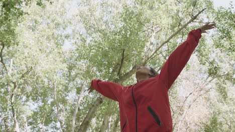 feliz mujer afroamericana extendiendo los brazos en el bosque, cámara lenta