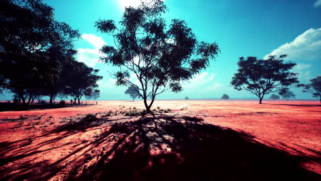 árbol de acacia en la sabana africana