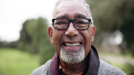 senior man, smile closeup and face in a park