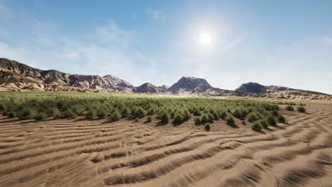 beautiful yellow orange sand dune in desert in middle asia