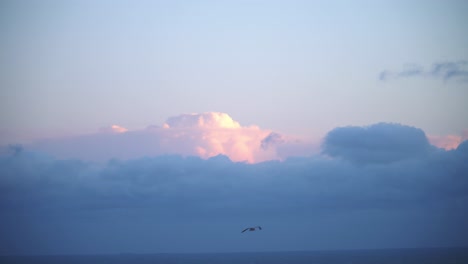 sunset over the ocean with birds flying