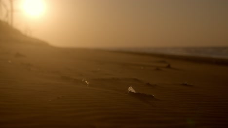 sand blowing by the strong wind on the beach during the sunset time