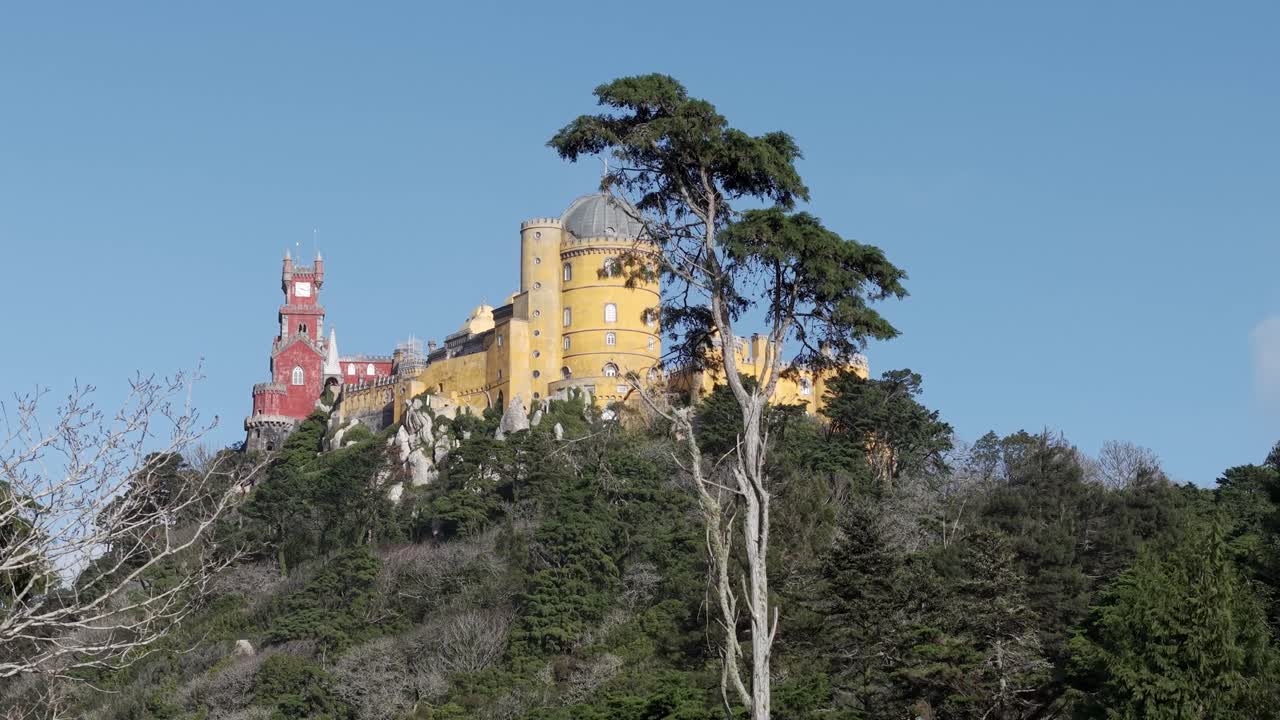 Pena Park forest reveals The Pena Palace at top under clear blue sky. The park symbolises harmony between nature and architecture, Low angle shot