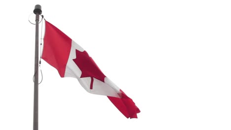 close up of a canadian flag blowing in the wind