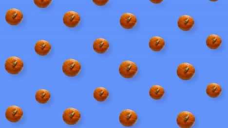 colorful pattern of fresh orange pumpkins. top view. seamless pattern with pumpkin. pop art design. realistic animation. 4k video motion