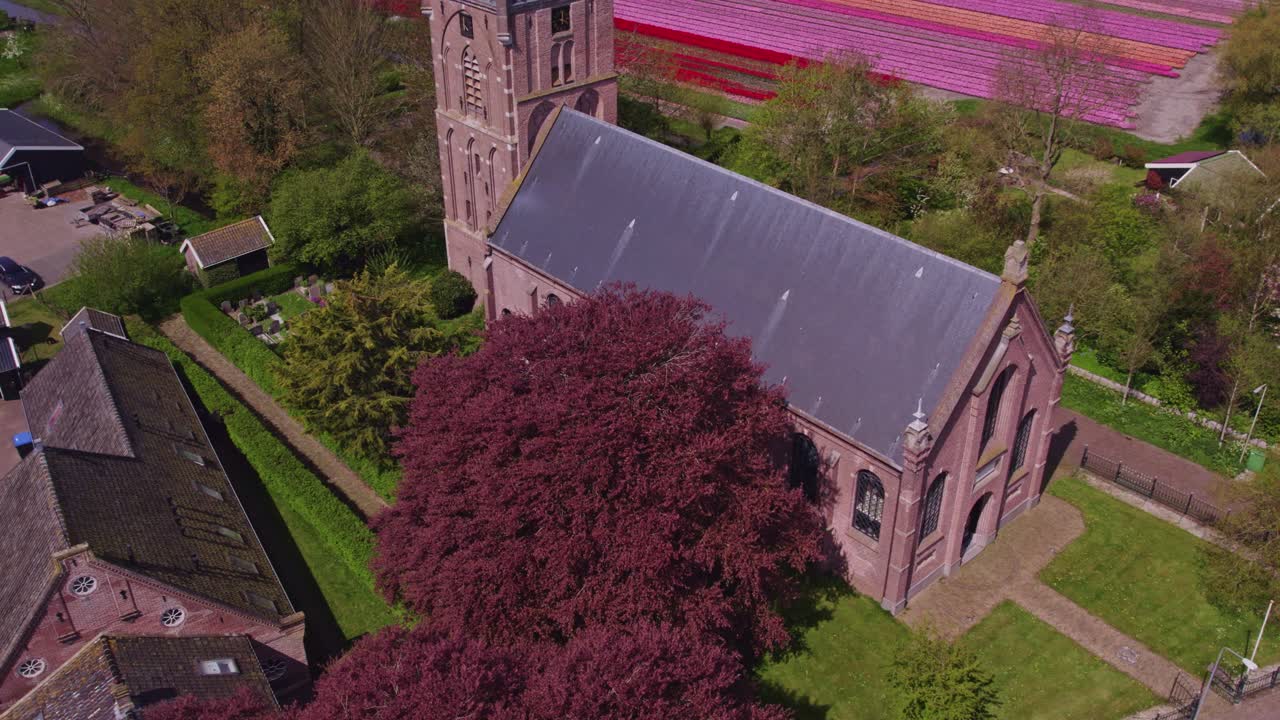 Aerial view of Aartswoud with tulips, flowers, church, showing dramatic historic landscape in Netherlands