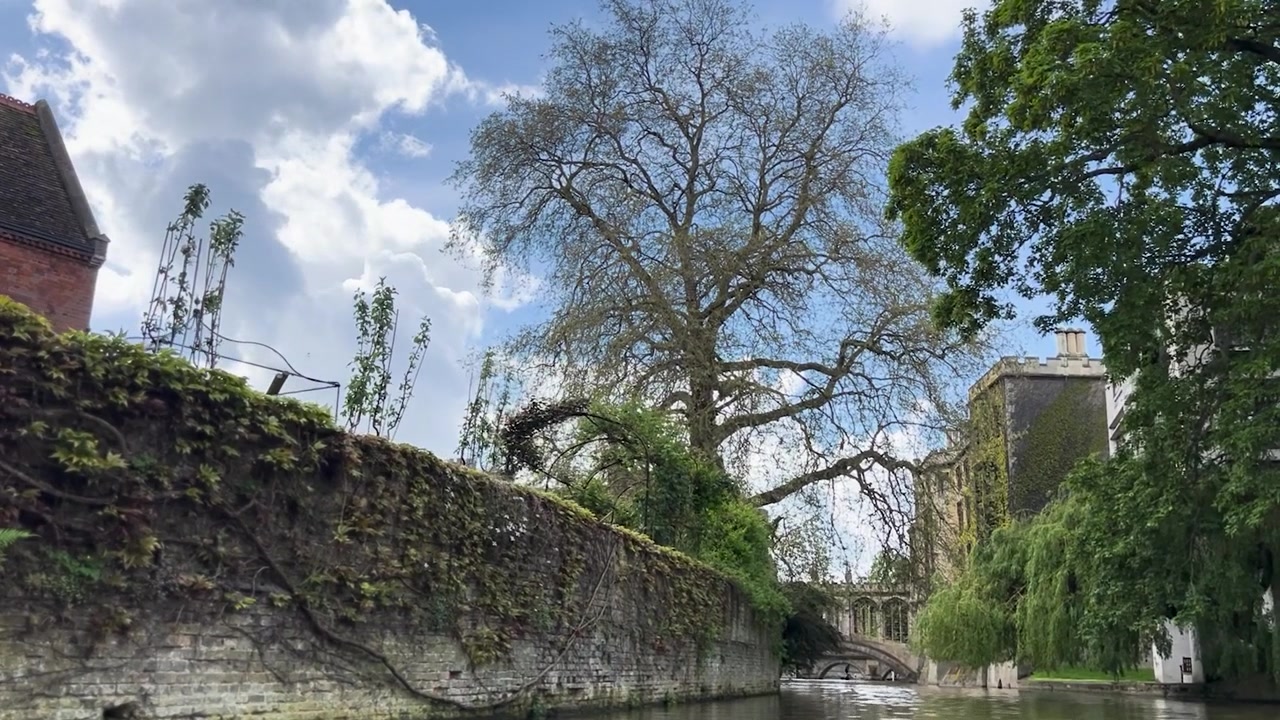 Cambridge'de Cam Nehri'nde Punting Manzarası