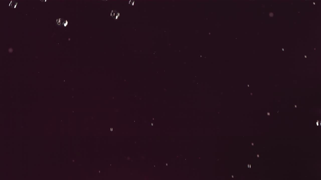 슬로우 모션에서 검은 바탕에 그레이프프루트의 비행