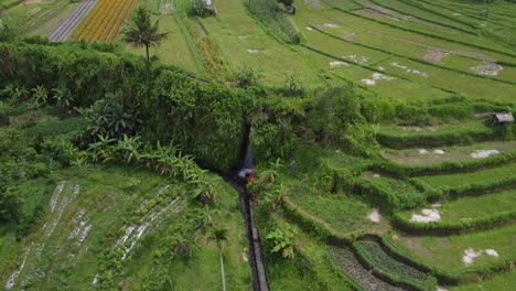 jardinería del sistema de canales de riego a través de campos agrícolas escalonados, bali