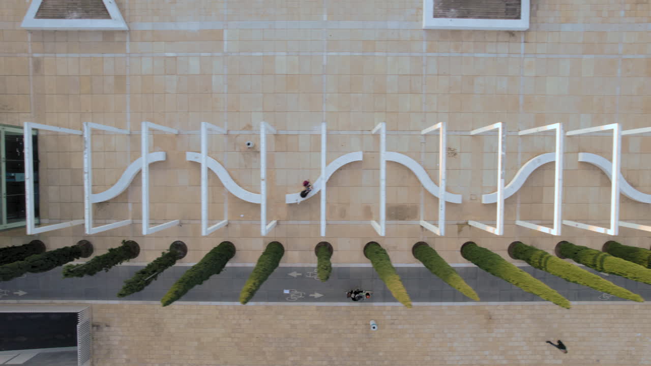 석양의 아름다운 사이프러스 나무 근처 트랙에서 자전거 타는 사람의 추상적 하향식