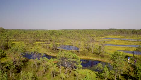 aerial view of people hiking on a boardwalk through a picturesque bog