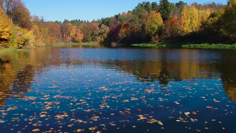 Buntes-Herbstwaldholz-Am-See