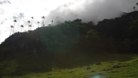 clouds passing through palms lense flare cocora valley colombia