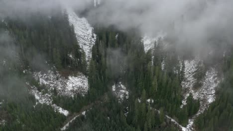 overhead aerial of a snow covered forest in snoqualmie pass