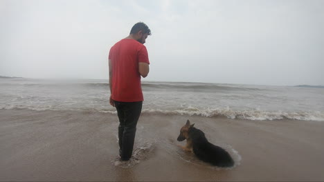 the friendship of dogs and their masters relaxing on the beach