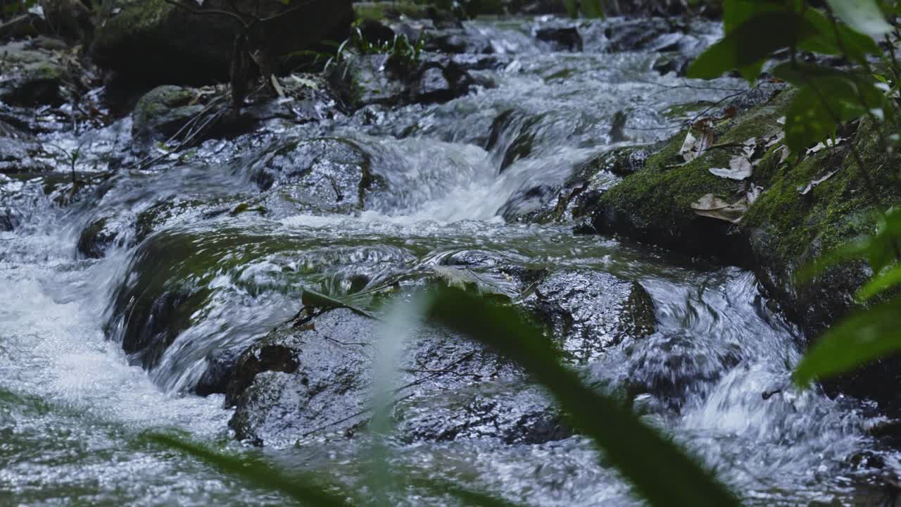 A mesmerizing shot of a small cascading waterfall surrounded by dense, vibrant forest. This serene footage highlights the untouched beauty of watersheds and sustainable ecosystems.